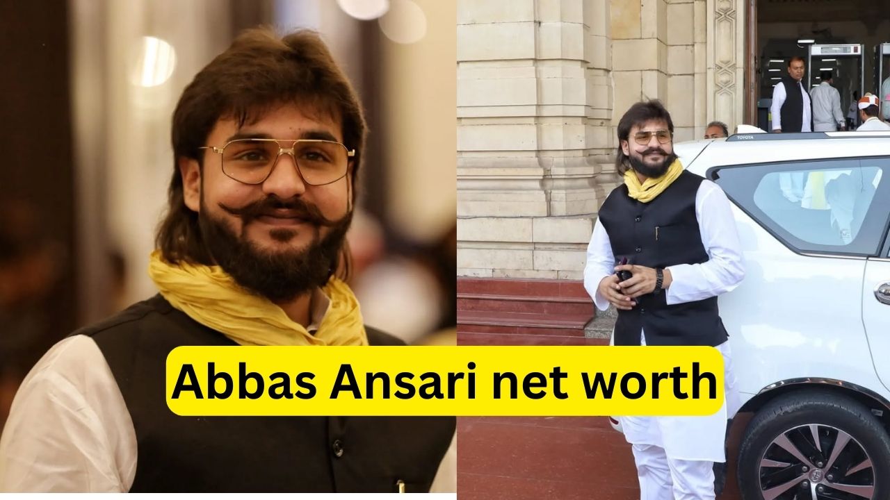 abbas-Ansari-net-worth